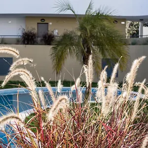 https://family-apartments-albur-village-ii.hotelaalgarve.com